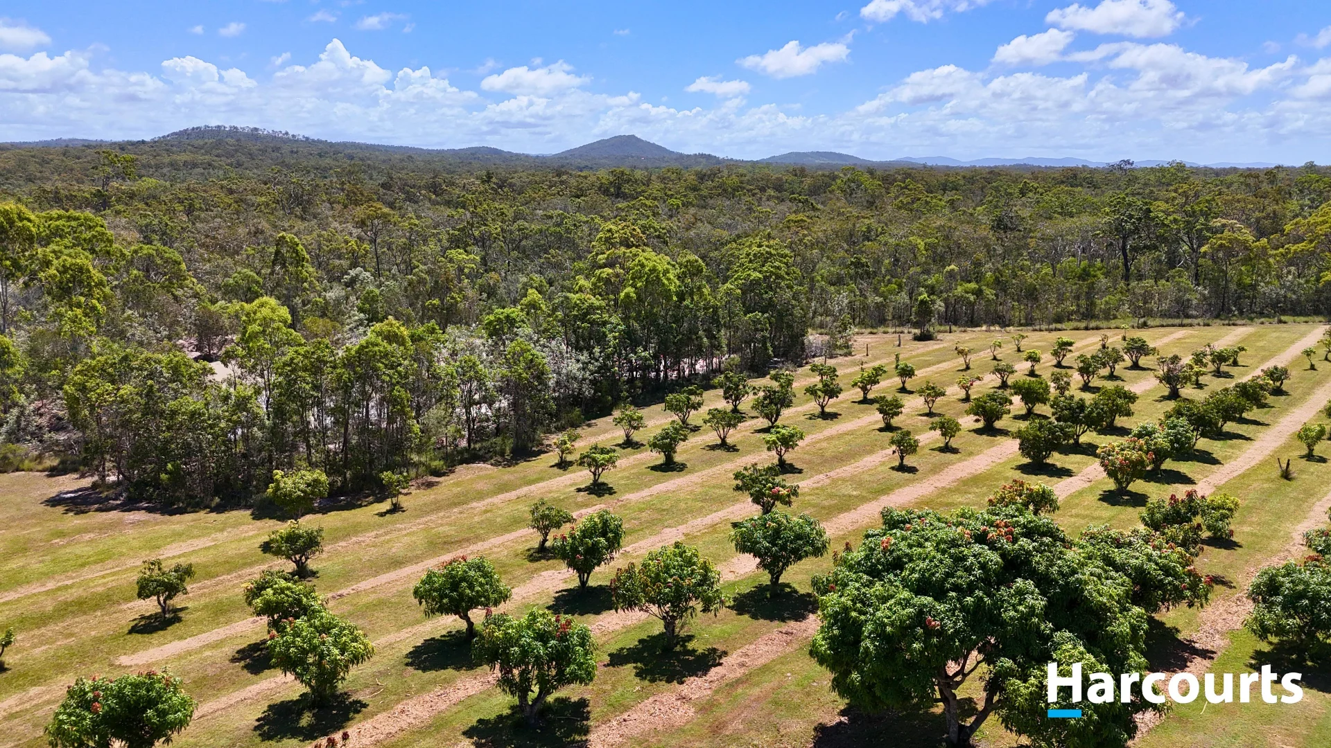 Additional image 2 of 397 Capricornia Drive, Deepwater QLD 4674