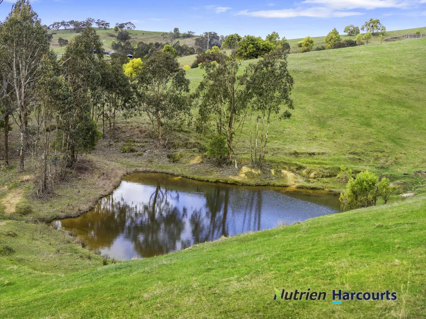 Additional image 6 of 3918 Whittlesea-Yea Road, Flowerdale VIC 3717
