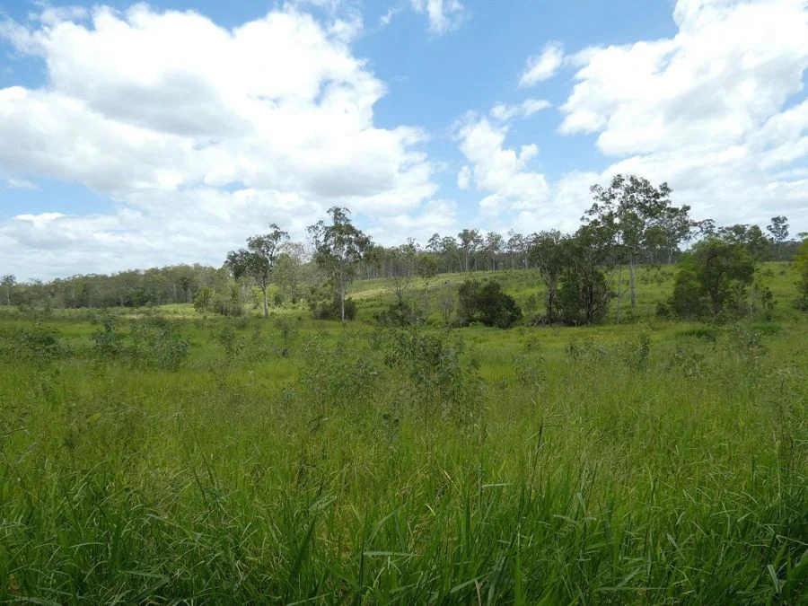 Additional image 29 of Lot 43 Moolyung Road, Waterloo QLD 4673