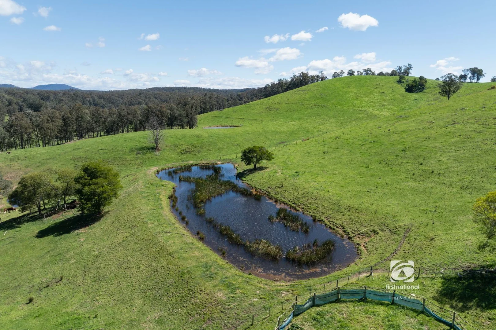 Additional image 27 of 80 Bouchers Road, Clifton Creek VIC 3875