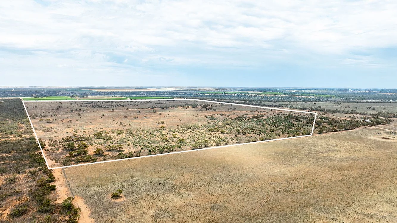 Additional image 9 of Section 83 Devlins Pound Road, Pooginook SA 5330