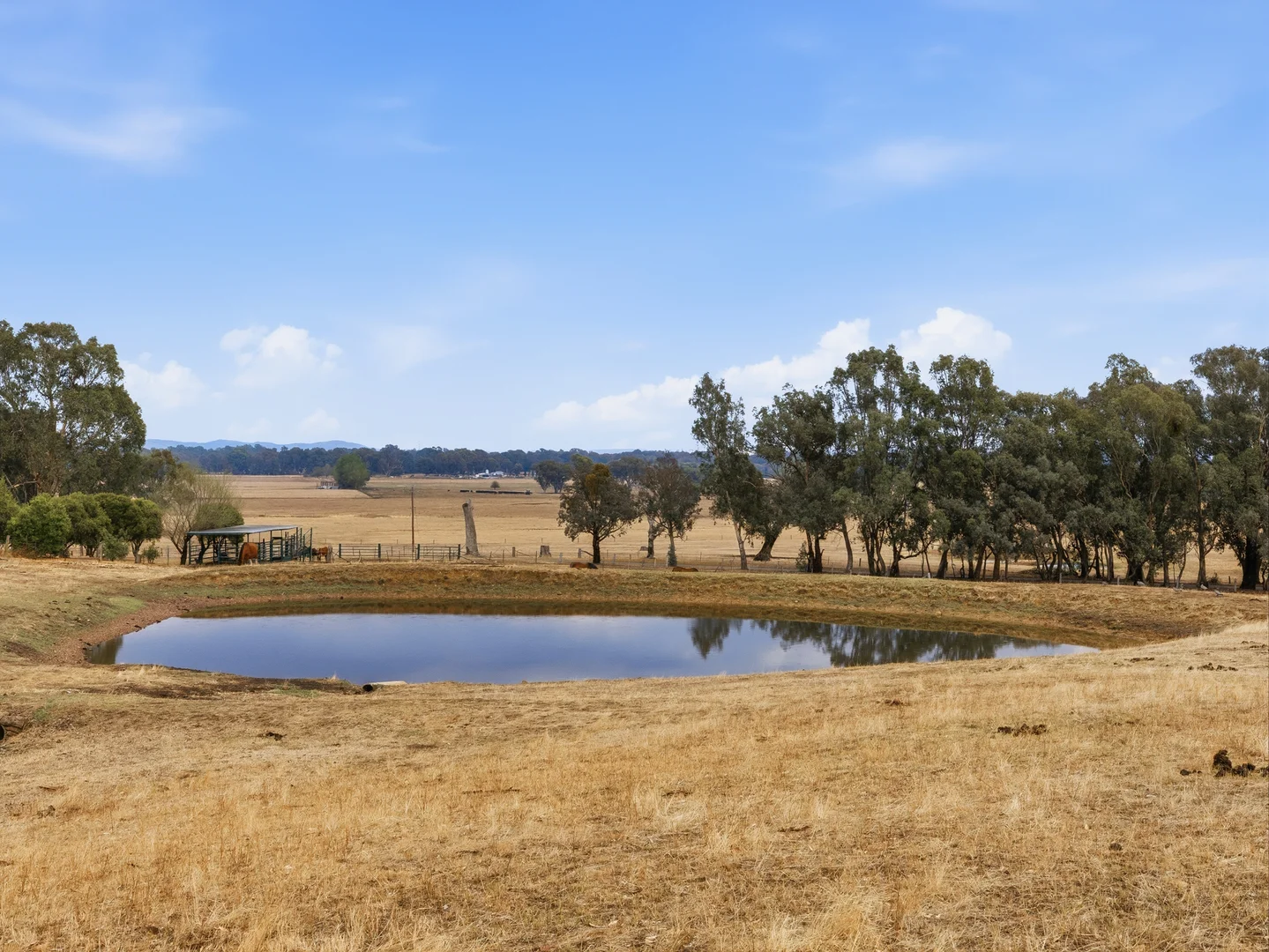 Additional image 26 of 45 Gibbs Lane, Moyhu VIC 3732