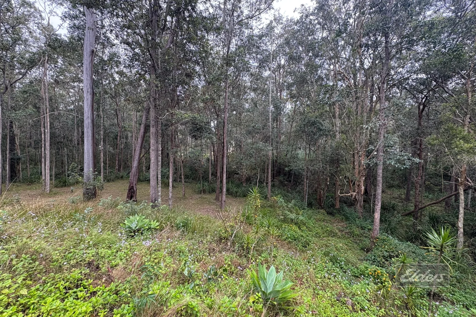 Additional image 15 of 36 Arborthree Road, Glenwood QLD 4570