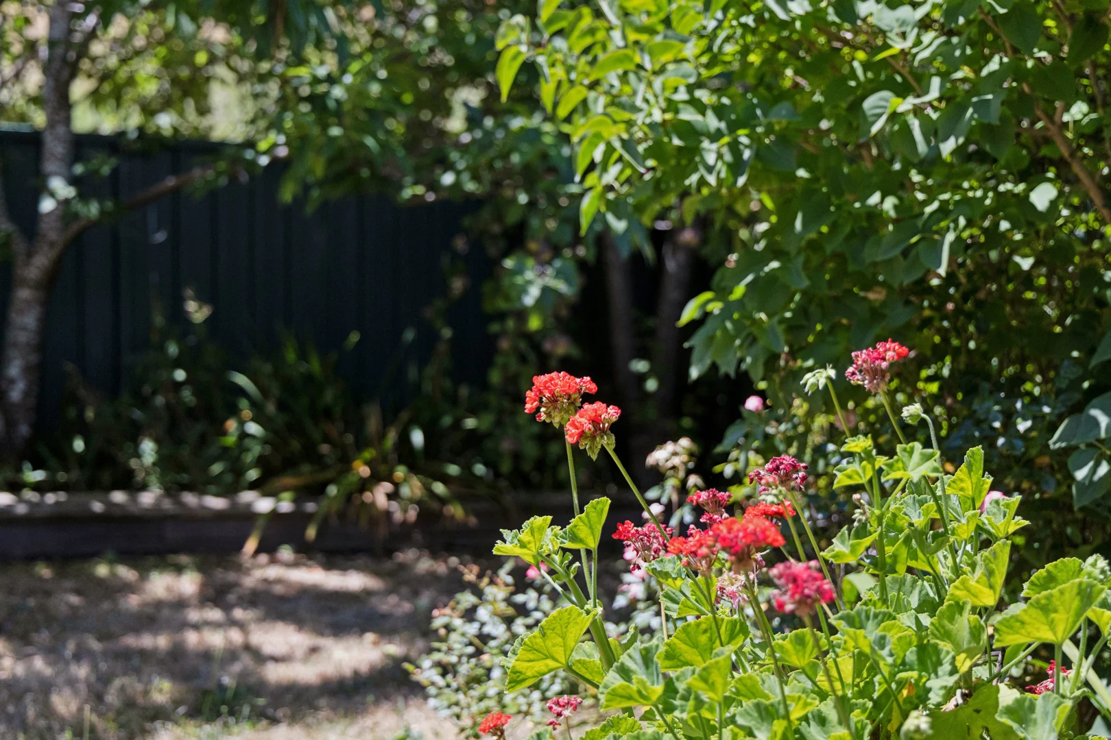 Additional image 18 of 1 Albert Lane, Daylesford VIC 3460