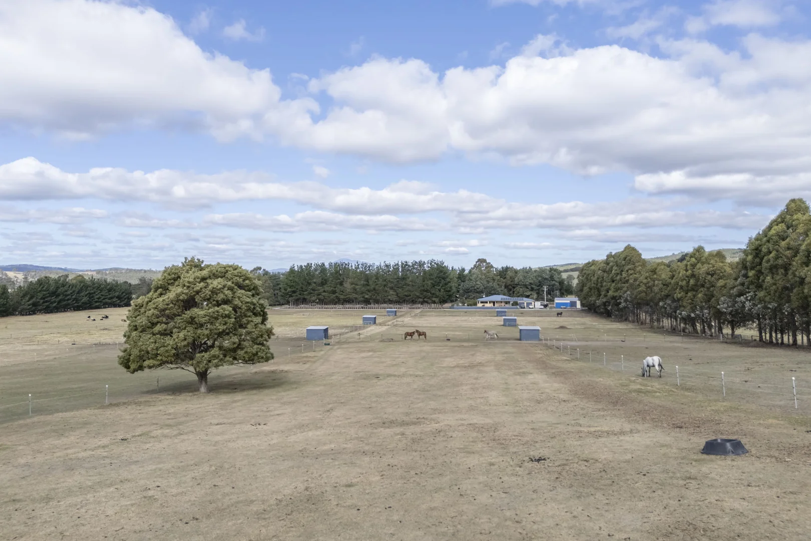 Additional image 22 of 5456 Bridport Road, Pipers River TAS 7252