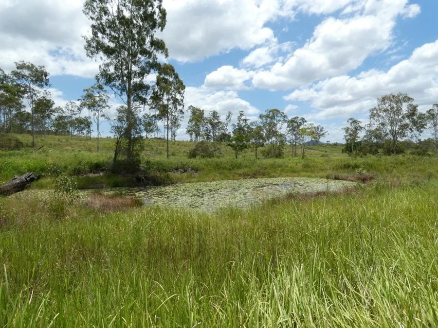 Additional image 6 of Lot 43 Moolyung Road, Waterloo QLD 4673