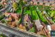 Additional image 38 of Alfreton Road, Sutton-in-ashfield NG17