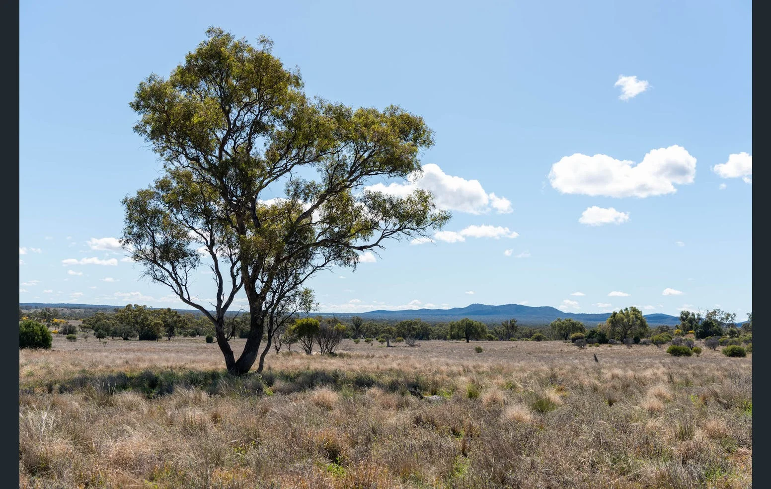 Additional image 28 of 'Black Range' 2880 Tallebung Road, Eremerang NSW 2877