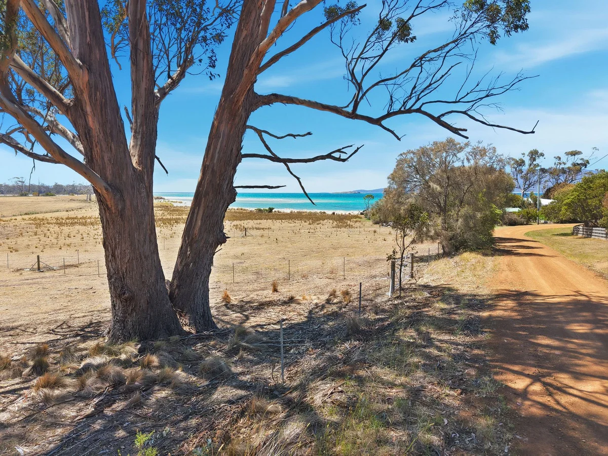 Additional image 10 of 400 Earlham Road, Rheban TAS 7190