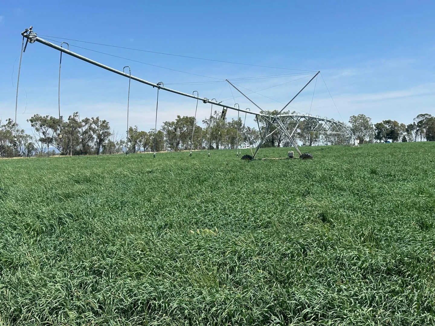 Additional image 12 of 1480 Oxley Highway, Tamworth NSW 2340