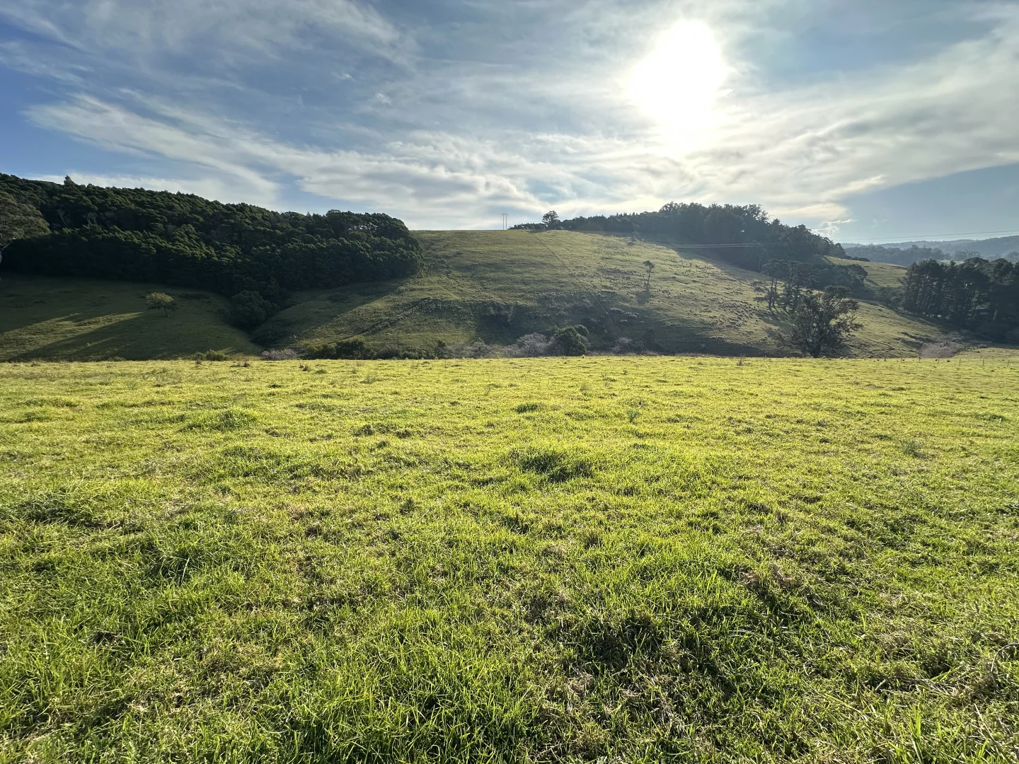 Additional image 4 of Lot 23 Fourter Road, Nethercote NSW 2549