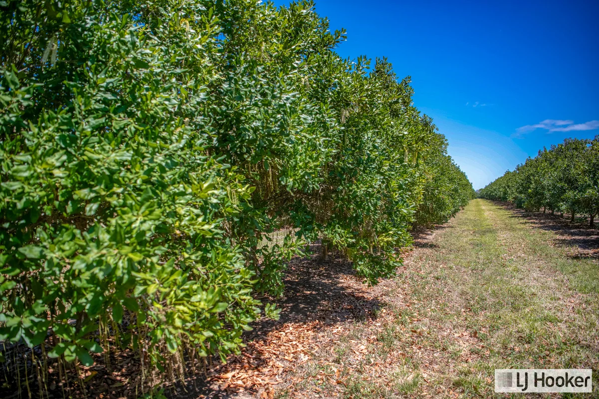Additional image 3 of Meadowvale QLD 4670