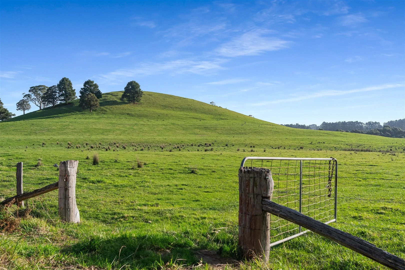 Additional image 5 of 790 Kangaloon Road, Glenquarry NSW 2576