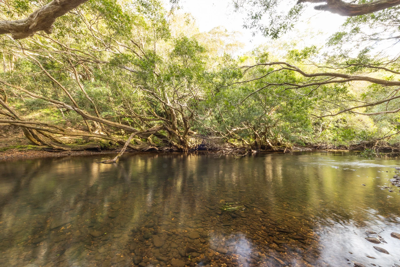 Additional image 26 of 56 Carisbrook Road, Morton NSW 2538