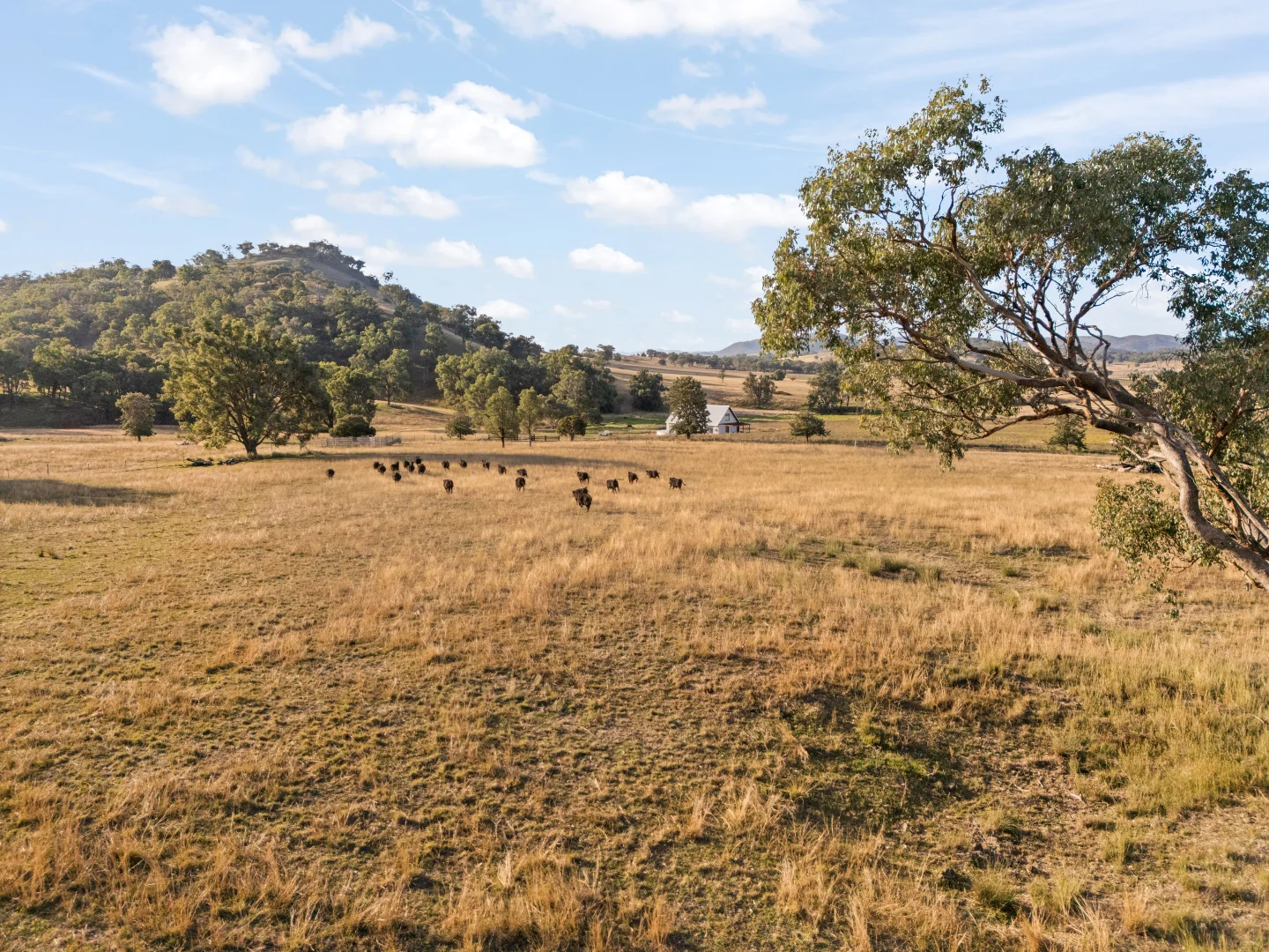 Additional image 21 of 688 Queens Pinch Road, Mudgee NSW 2850