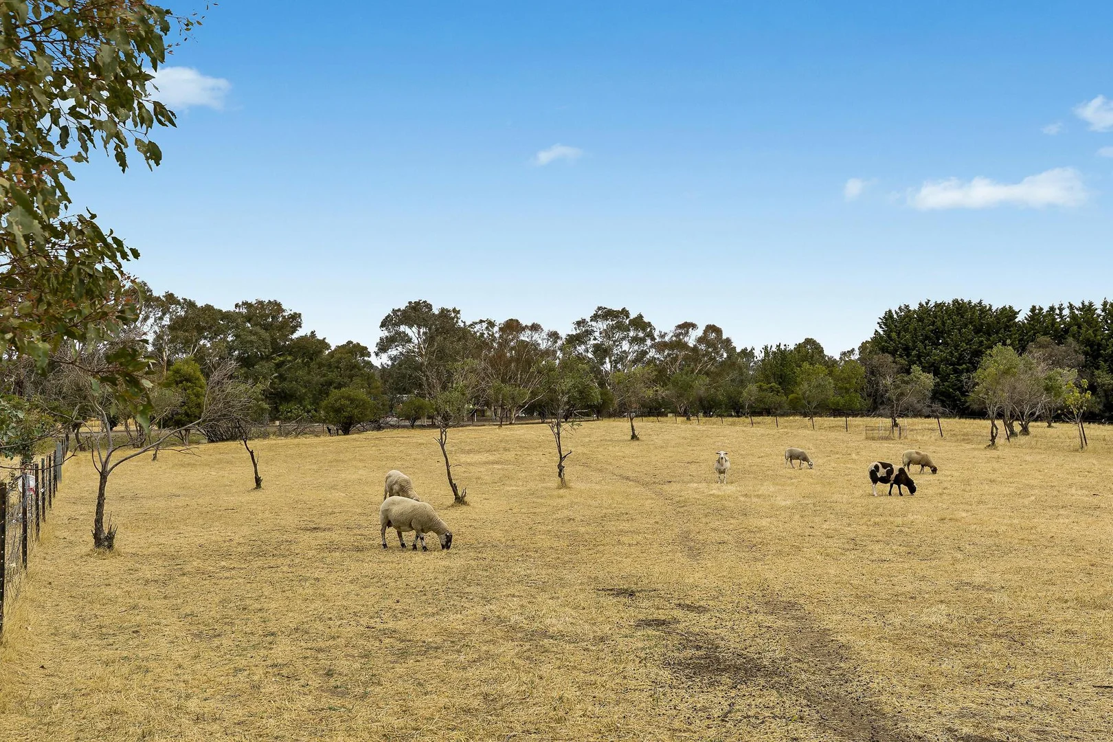 Additional image 25 of 2 Grevillea Close, Murrumbateman NSW 2582
