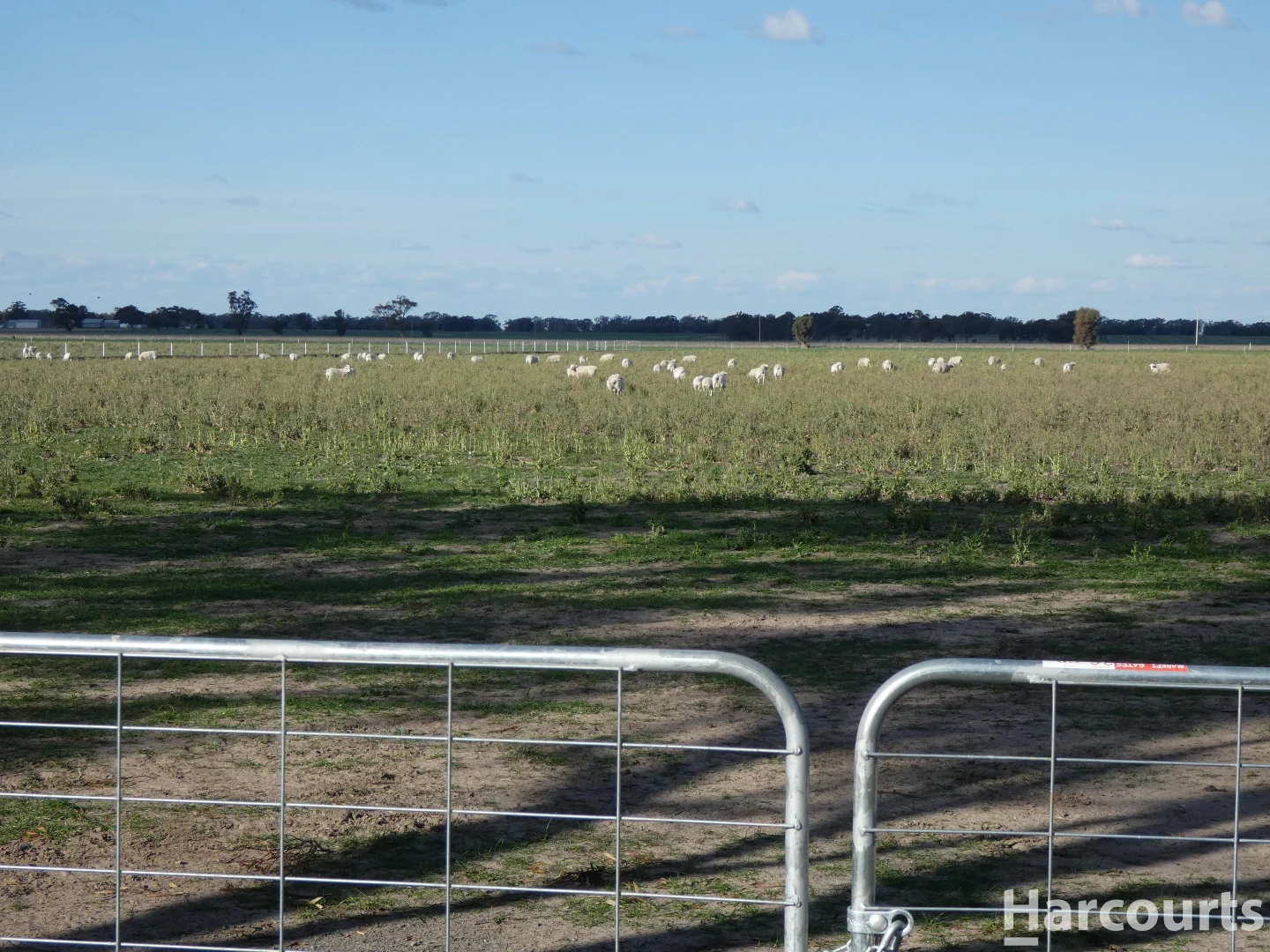 Additional image 7 of 435 Old Hamilton Road, Haven VIC 3401