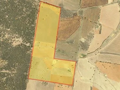 Additional image 15 of 893 Deaths Lane, Pullabooka NSW 2810