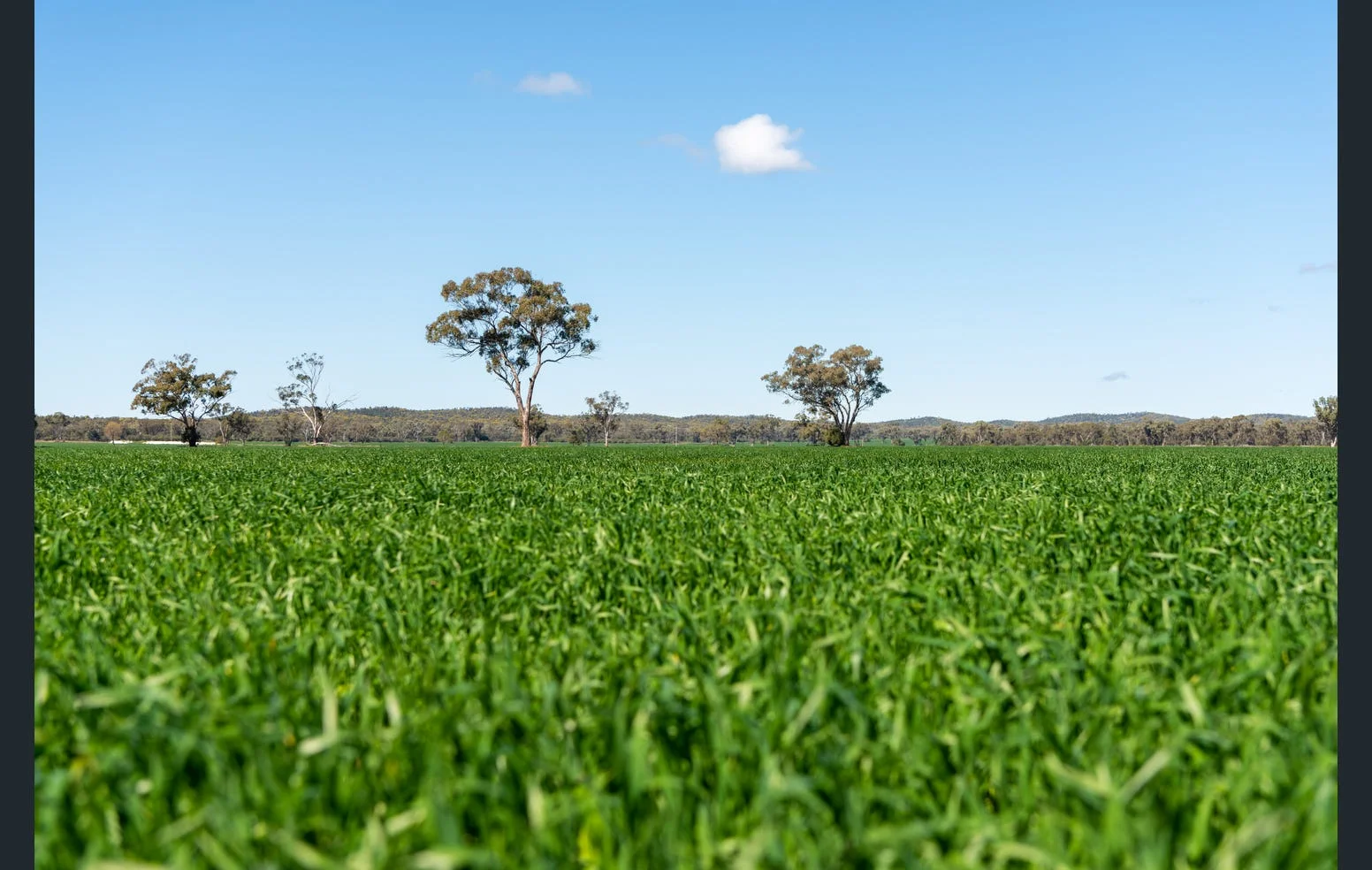 Additional image 5 of 'Black Range' 2880 Tallebung Road, Eremerang NSW 2877