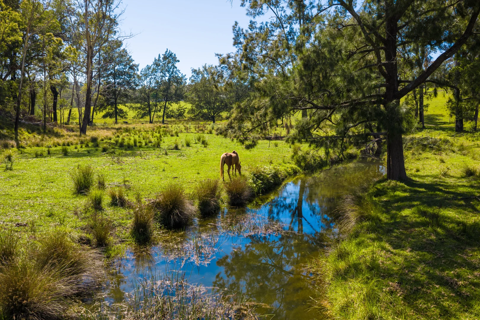 Additional image 10 of 18 Waincourt Road, Eurobodalla NSW 2545