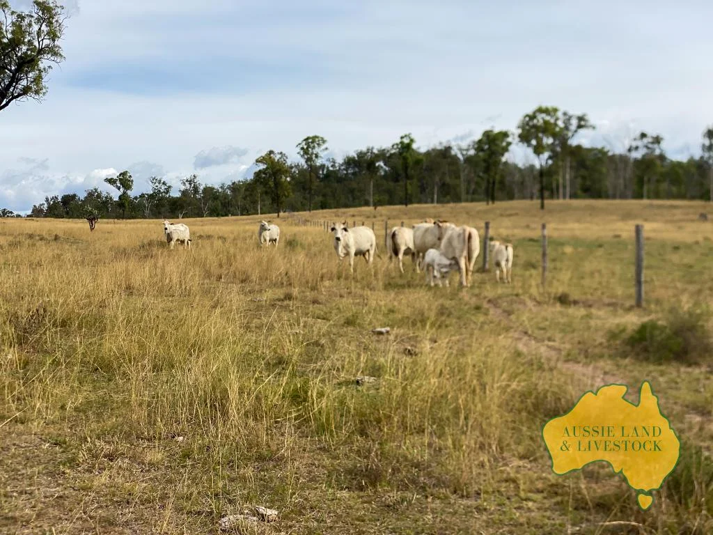 Additional image 76 of 2360 MONTO MOUNT PERRY ROAD, Yarrol QLD 4630