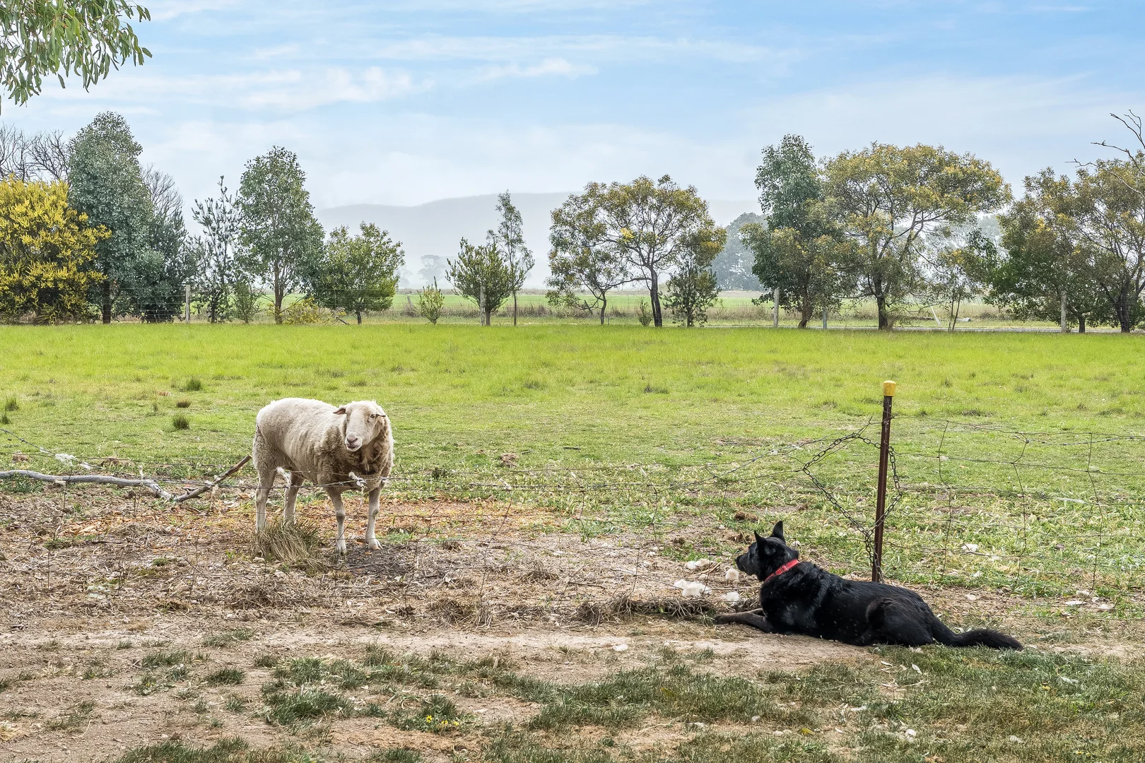 Additional image 12 of 210 Reddens Road, Balliang VIC 3340