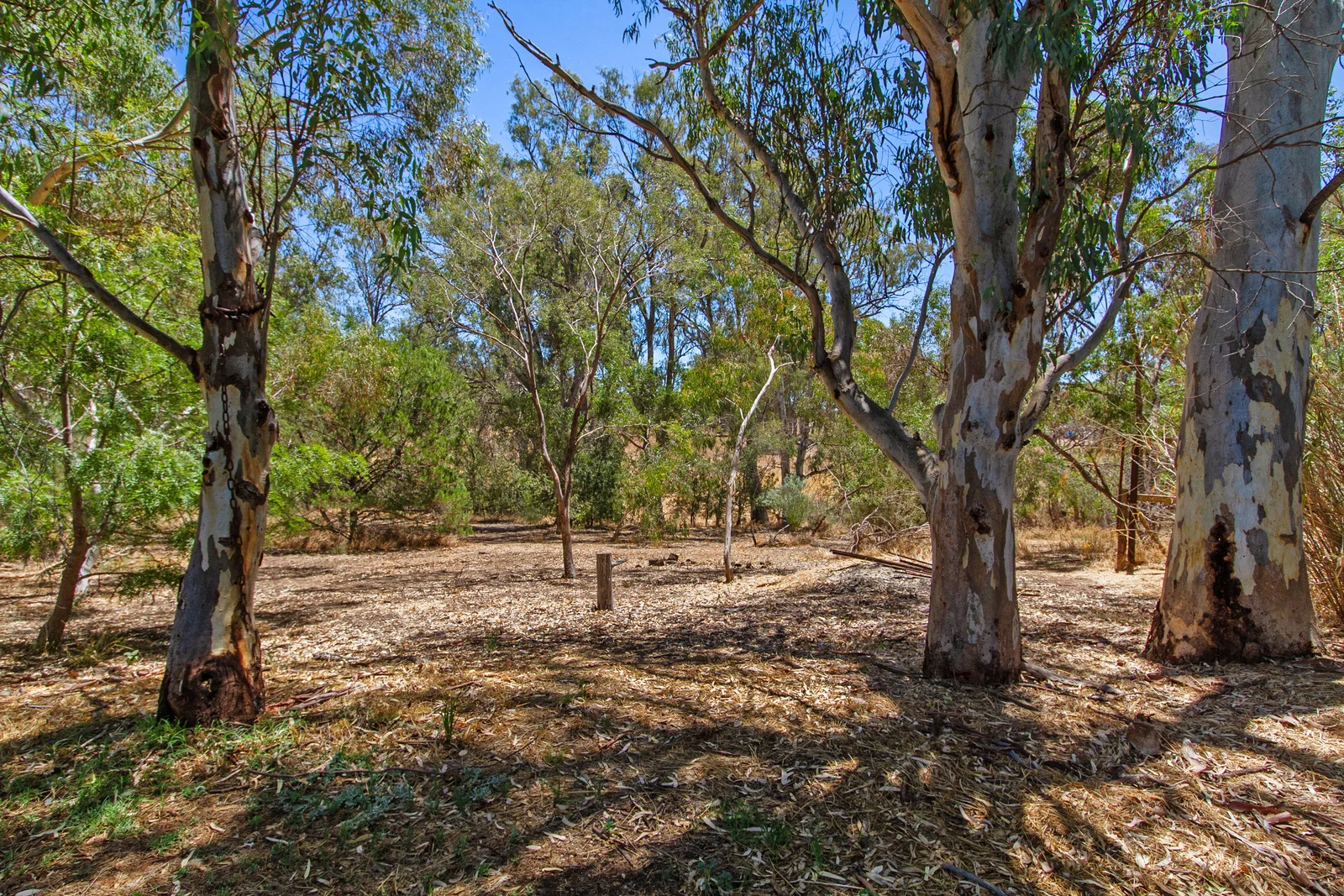 Additional image 30 of 19 Laura Blocks Road, Laura SA 5480