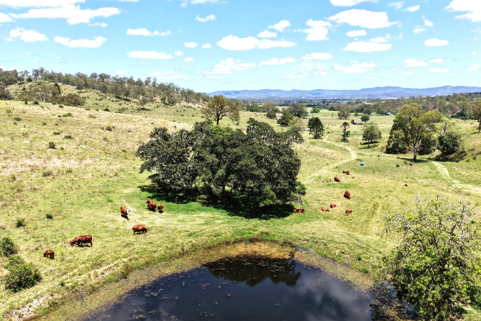 Additional image 8 of 516 Scrub Creek Road, Scrub Creek QLD 4313
