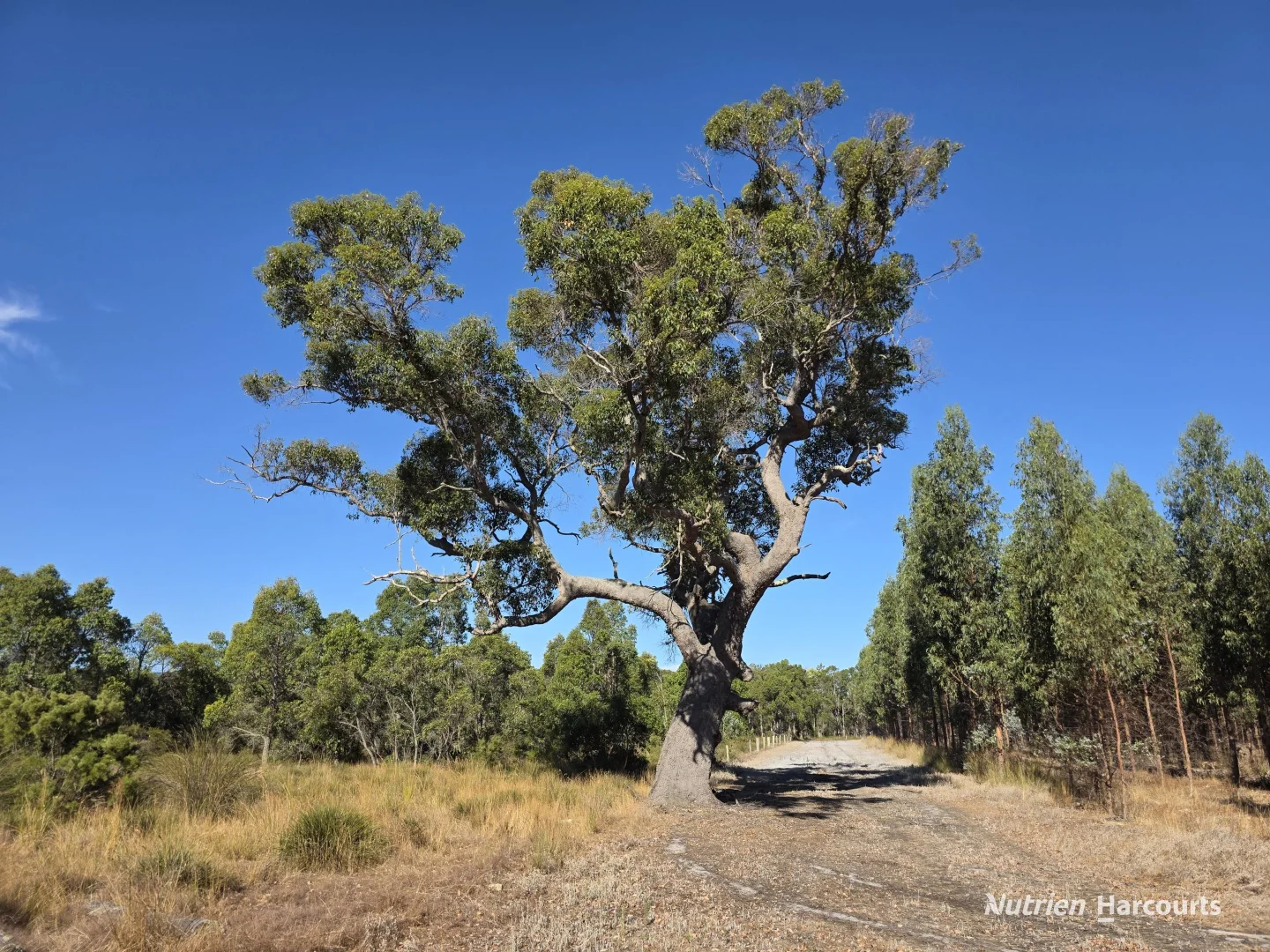 Additional image 12 of 1578 Yellanup Road, Narrikup WA 6326