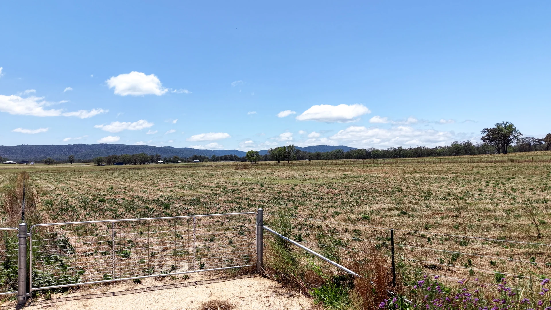 Additional image 3 of 984A Bruxner Way, Tenterfield NSW 2372