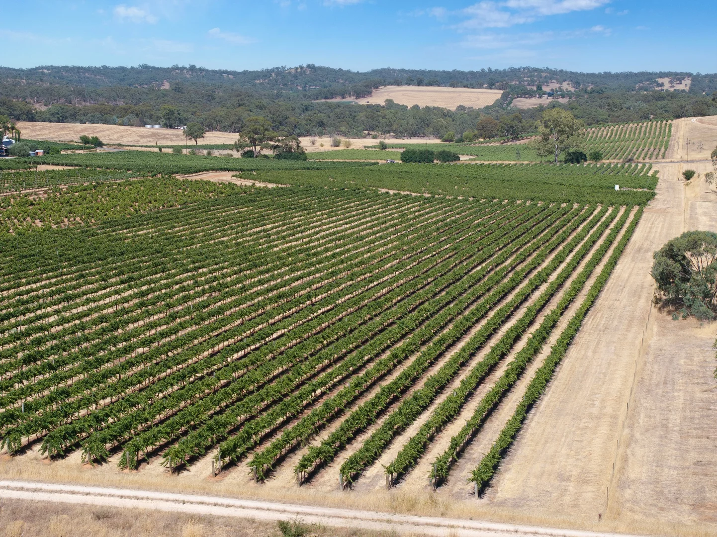 Additional image 4 of Lot 20 Spring Farm Road, Spring Farm SA 5453