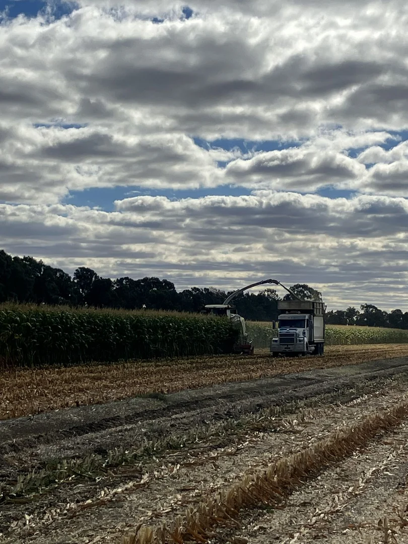 Additional image 23 of 5104B Murray Valley Highway, Castle Donnington VIC 3585