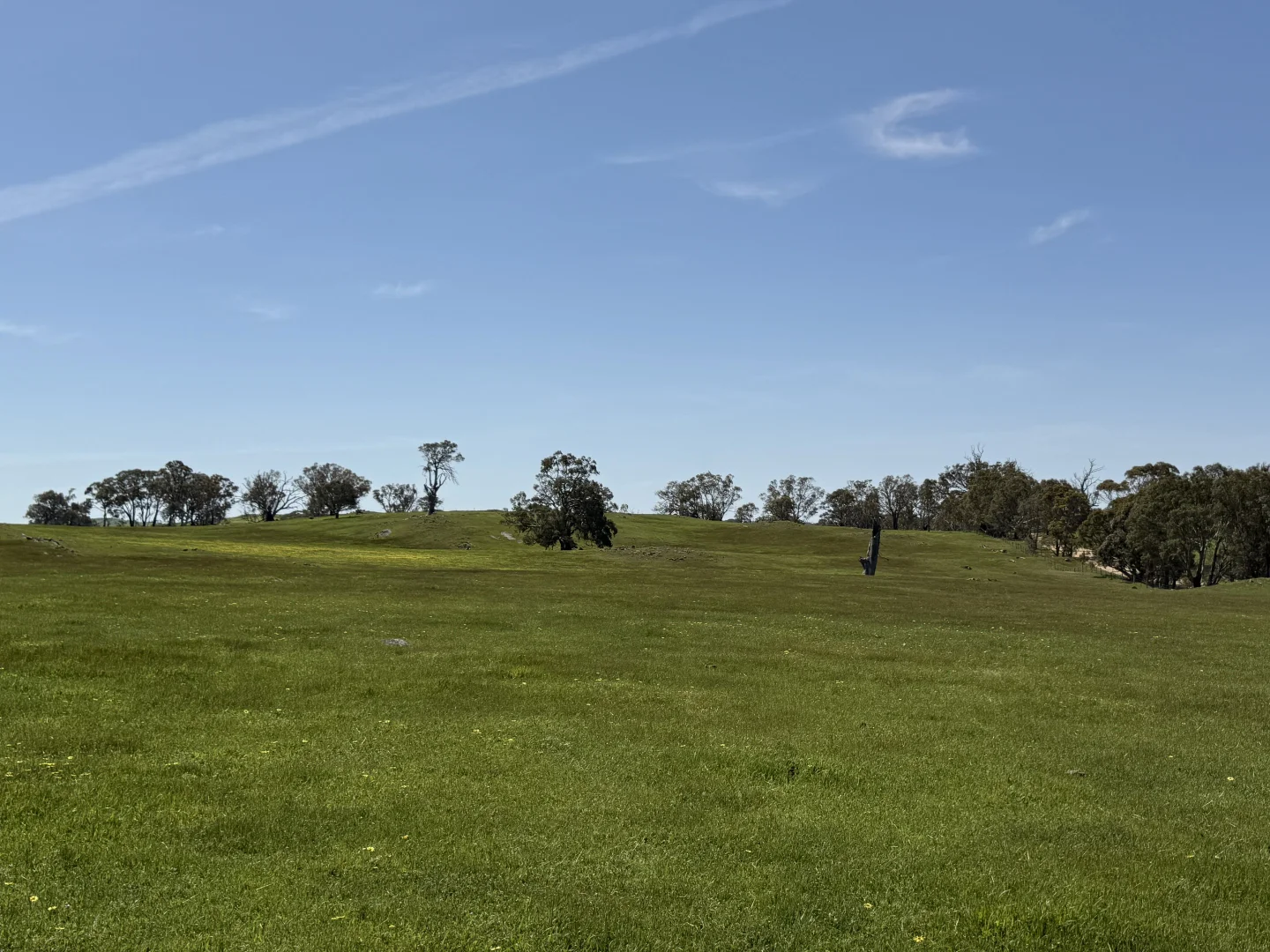 Additional image 9 of Lot 115 Mcgormans Road, Tungkillo SA 5236