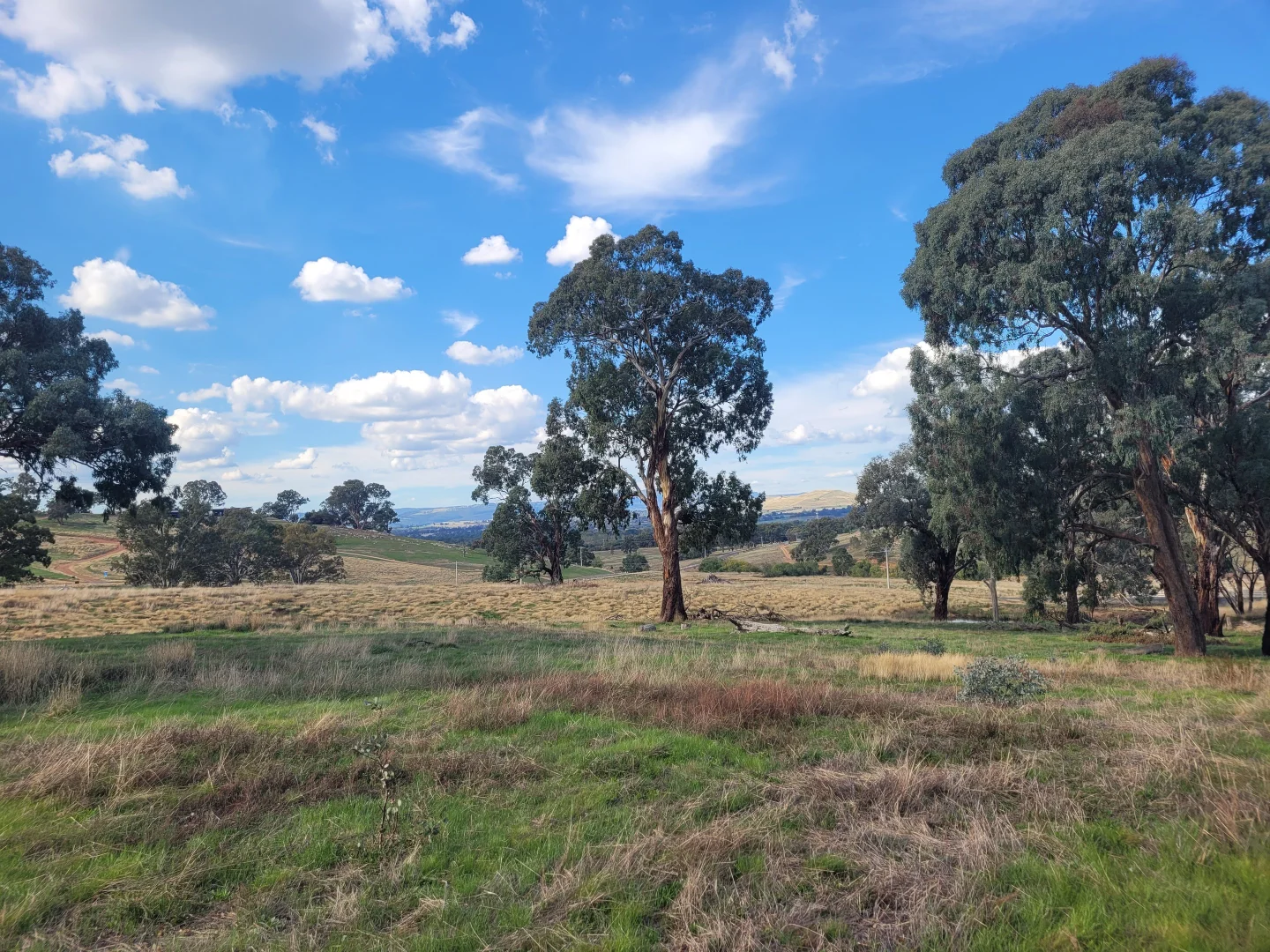 Additional image 6 of 84 Owens Creek Drive, Mansfield VIC 3722