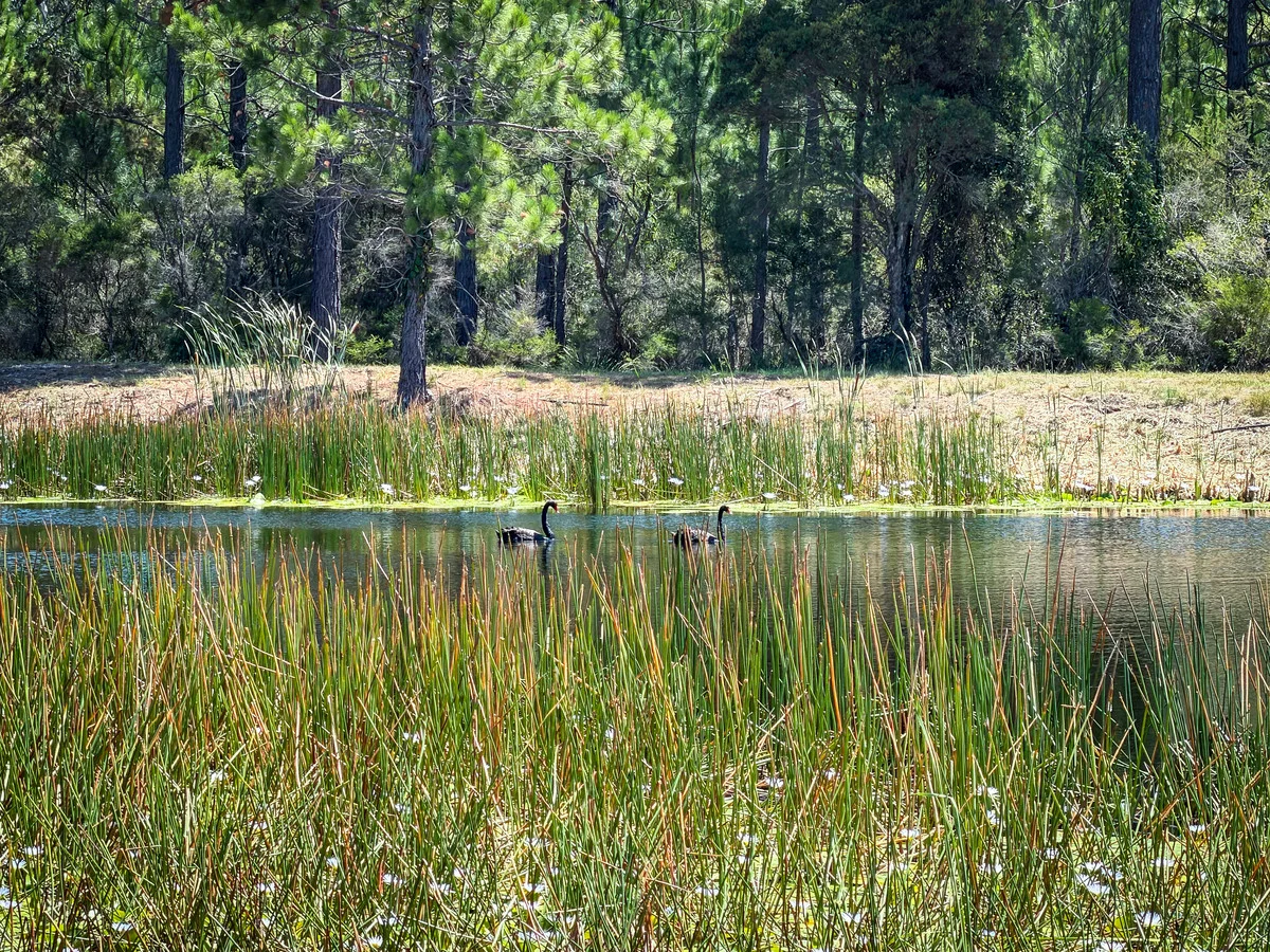 Additional image 10 of Tomerong NSW 2540