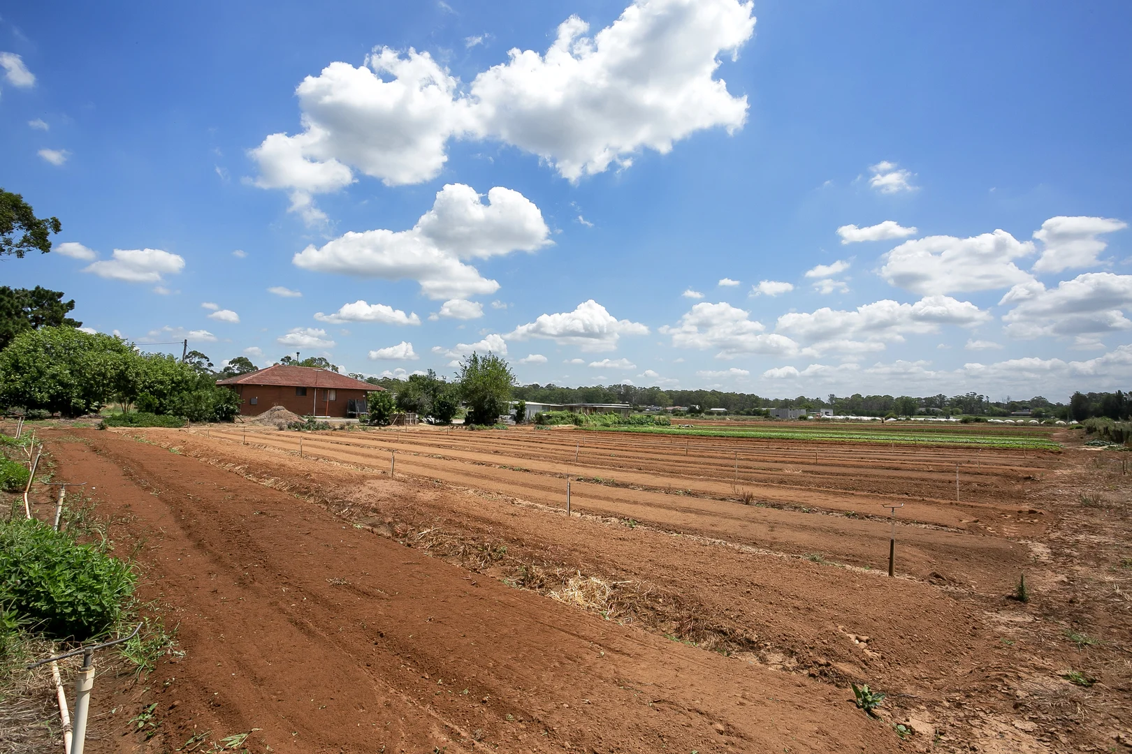 Additional image 14 of 150 Sixth Avenue, Llandilo NSW 2747