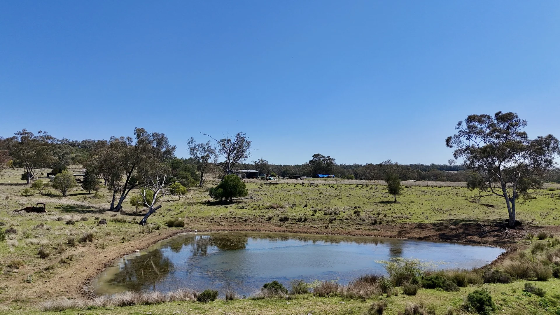 "Calamity"/1385 Mosquito Creek Road, Warialda NSW 2402
