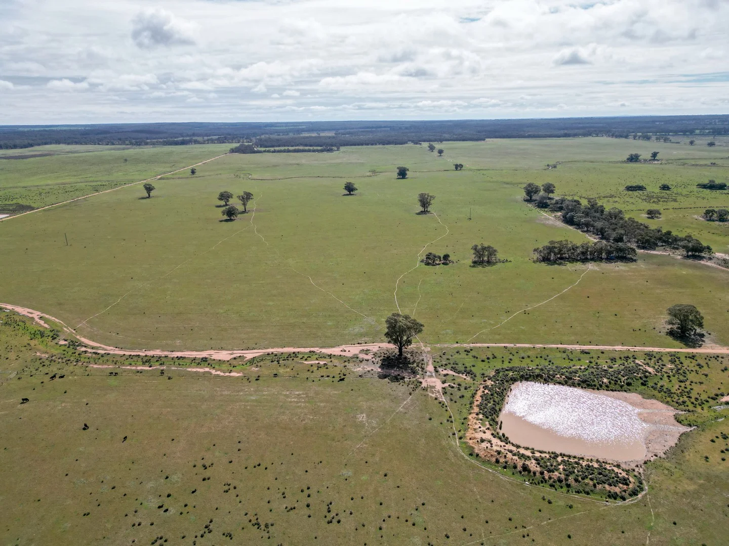 ' Dalmallee' 735 Charcoal Tank Road, West Wyalong NSW 2671