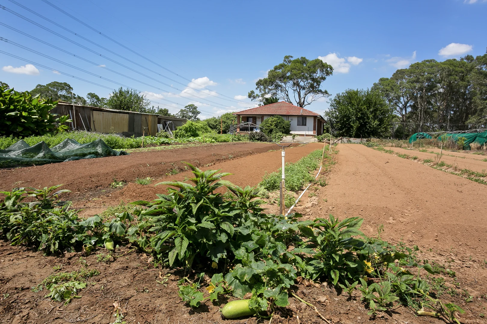 Additional image 11 of 150 Sixth Avenue, Llandilo NSW 2747