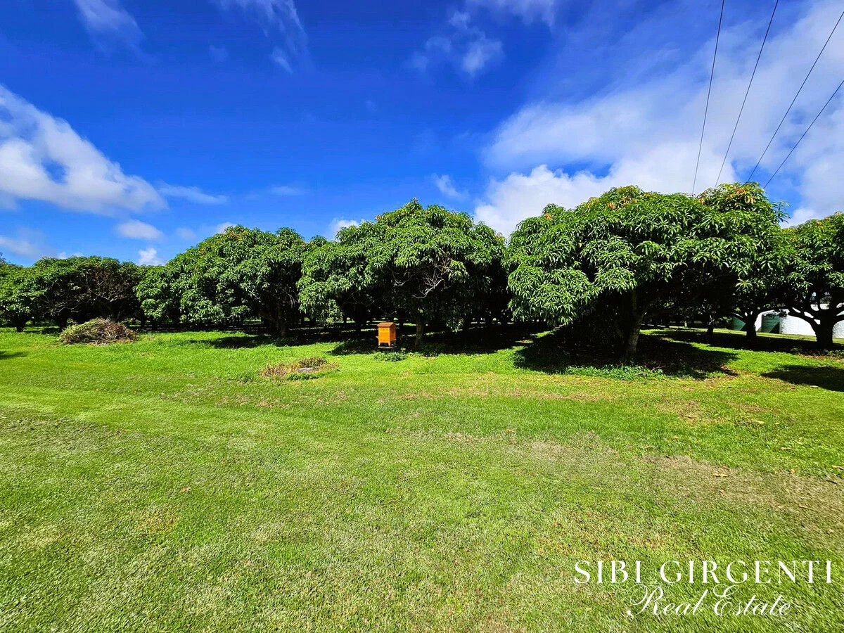 Additional image 15 of 1004 Bilwon Road, Biboohra QLD 4880