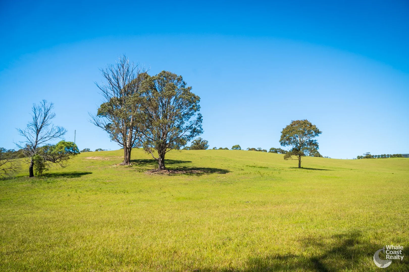 Additional image 9 of 9, 81 Wonga Road, Narooma NSW 2546