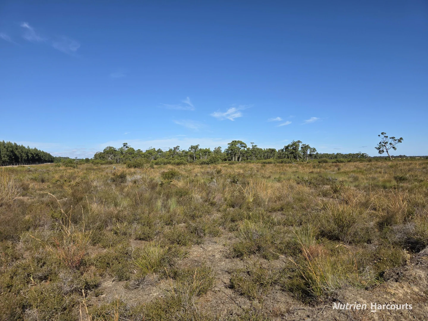 Additional image 7 of 1578 Yellanup Road, Narrikup WA 6326