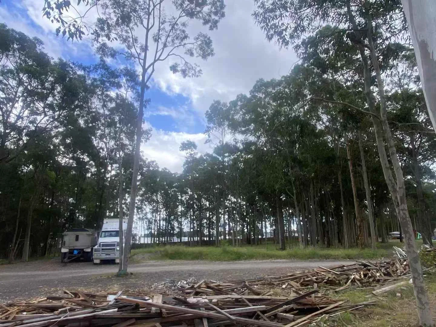 Additional image 2 of Warnervale NSW 2259