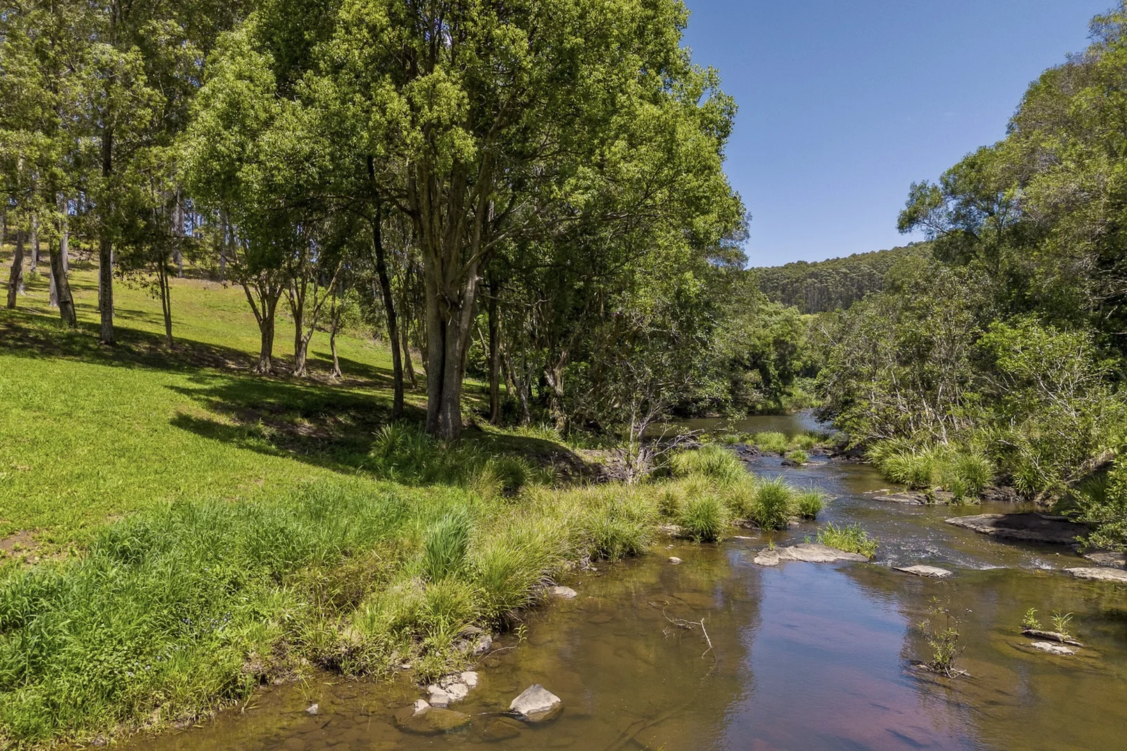Additional image 8 of 315 Coorabell Road, Coorabell NSW 2479