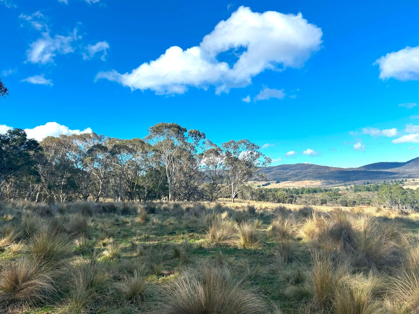 Additional image 4 of 11 & 128 Stoney Ridge Road, Braidwood NSW 2622