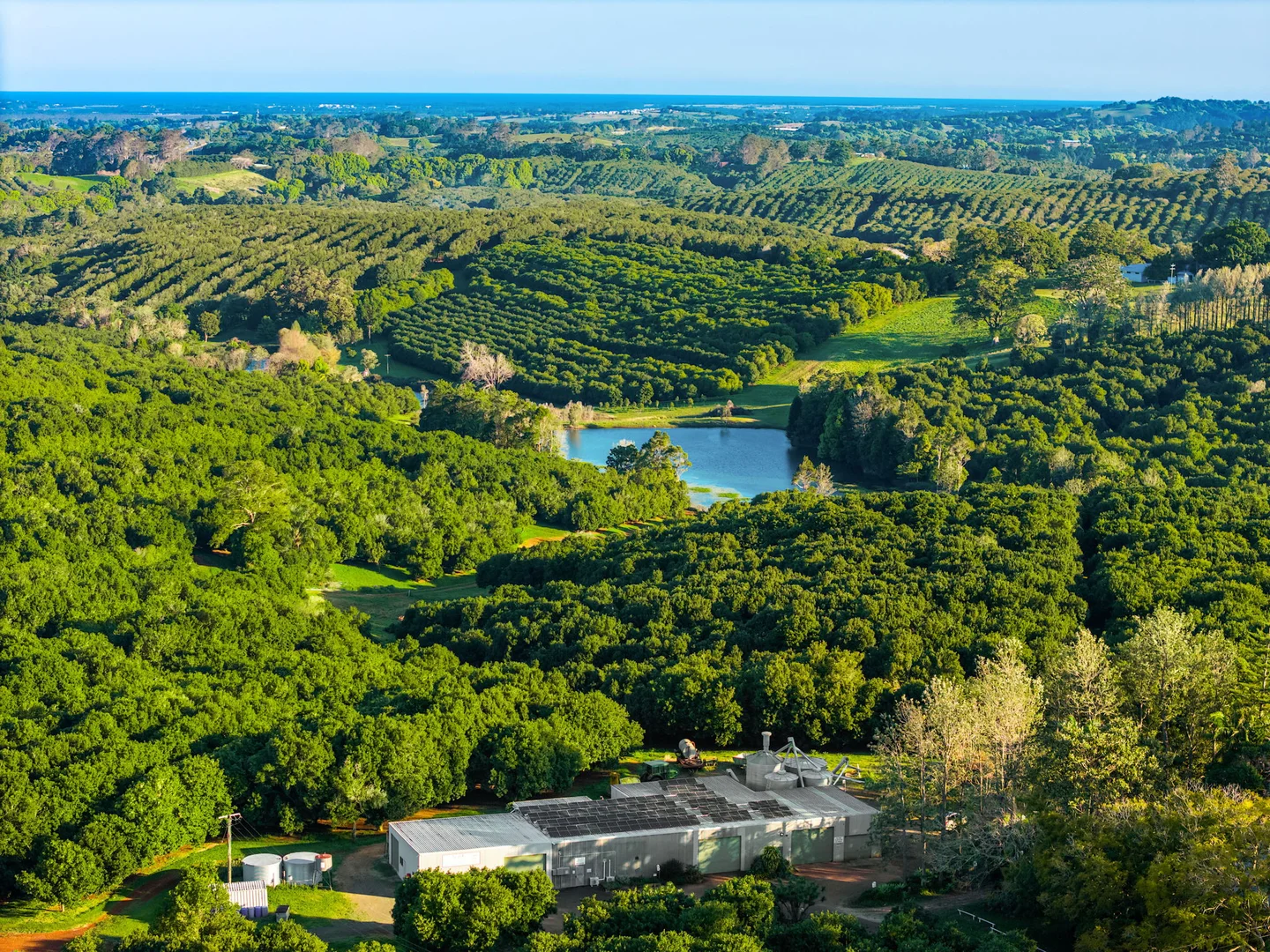 Additional image 16 of 145 Brooklet Road, Newrybar NSW 2479