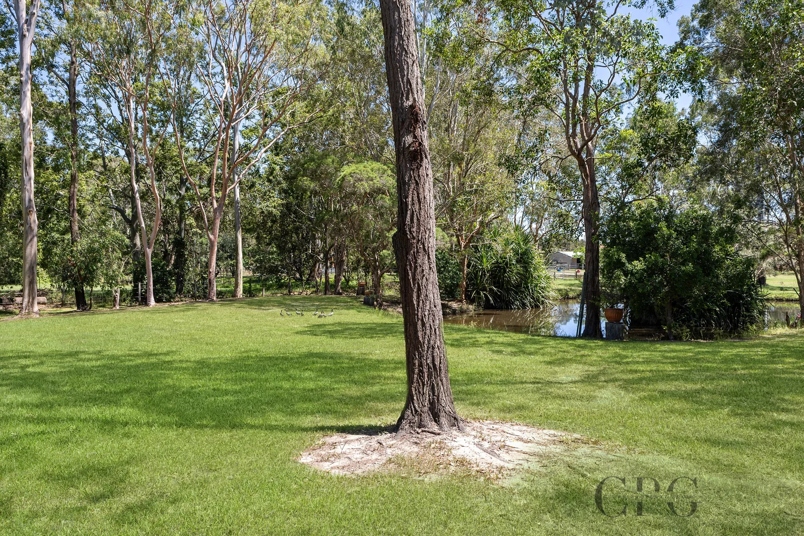 Additional image 35 of 80 Clark Road, Morayfield QLD 4506