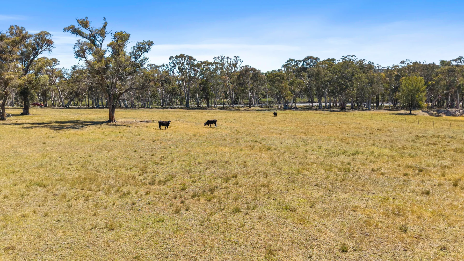 Additional image 25 of 5066 Castlereagh Highway, Round Swamp NSW 2846