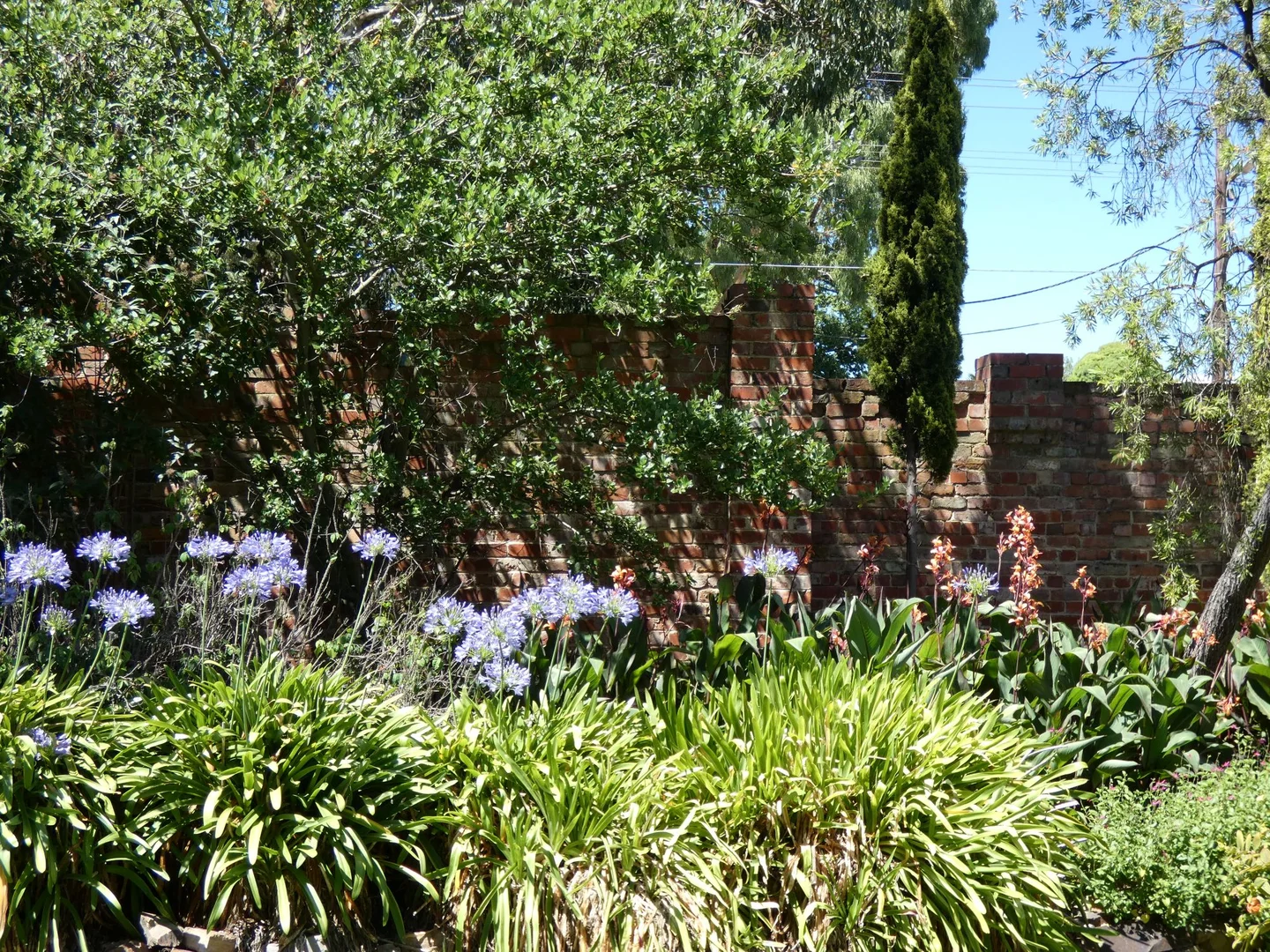 Additional image 20 of 14 Gardiner Street, Lilydale VIC 3140