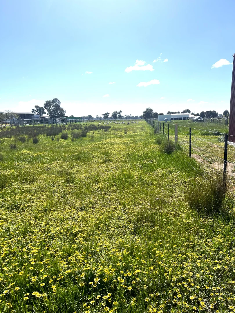 Additional image 12 of 1 Dennis Road, Benalla VIC 3672